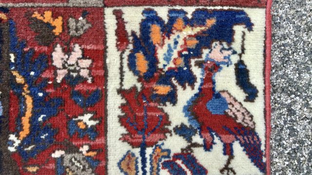 Bakhtiari detail